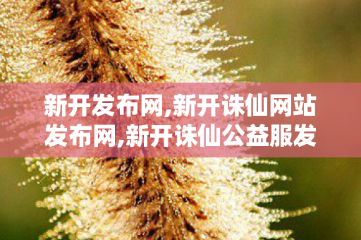 新开发布网,新开诛仙网站发布网,新开诛仙公益服发布网,新开诛仙网站发布网