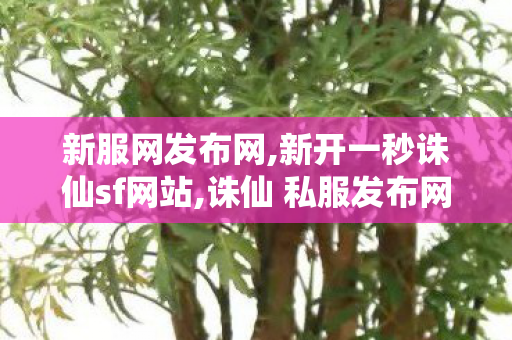 新服网发布网,新开一秒诛仙sf网站,诛仙 私服发布网站大全,新开一秒诛仙sf网站