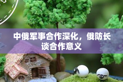 中俄军事合作深化，俄防长谈合作意义
