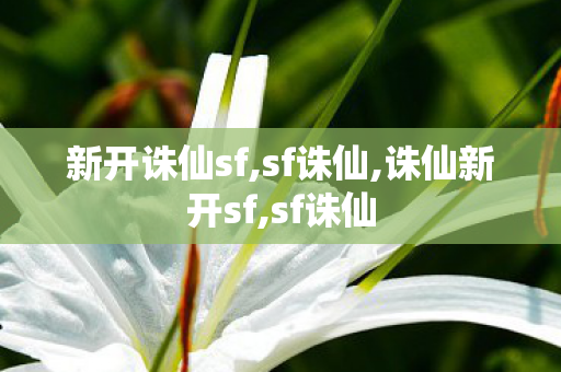 新开诛仙sf,sf诛仙,诛仙新开sf,sf诛仙