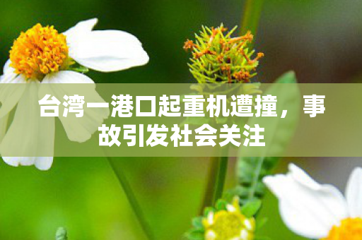 台湾一港口起重机遭撞，事故引发社会关注