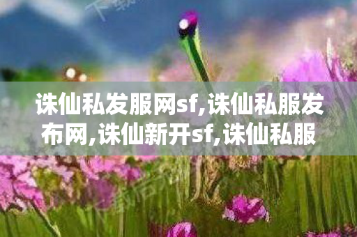 诛仙私发服网sf,诛仙私服发布网,诛仙新开sf,诛仙私服发布网