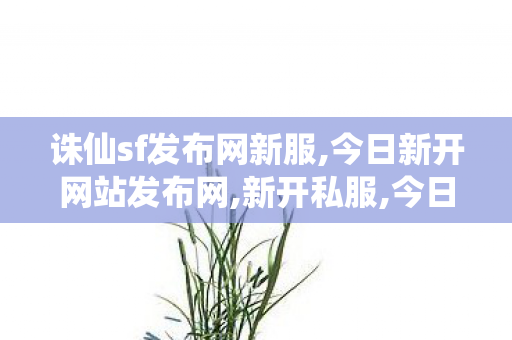 诛仙sf发布网新服,今日新开网站发布网,新开私服,今日新开网站发布网