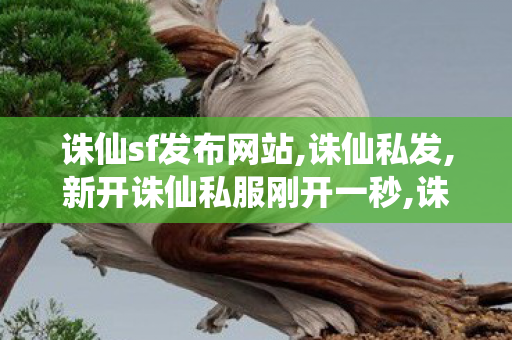 诛仙sf发布网站,诛仙私发,新开诛仙私服刚开一秒,诛仙私发