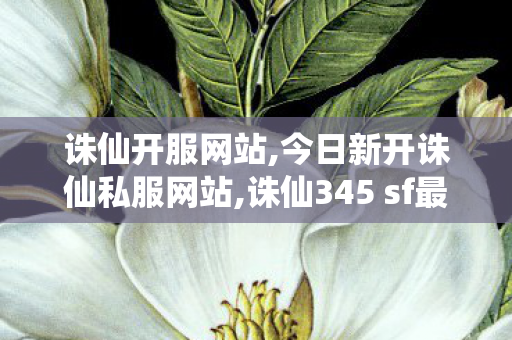 诛仙开服网站,今日新开诛仙私服网站,诛仙345 sf最新发布网,今日新开诛仙私服网站