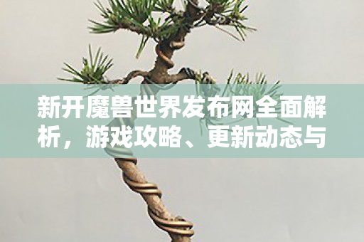 新开魔兽世界发布网全面解析，游戏攻略、更新动态与玩家必备指南