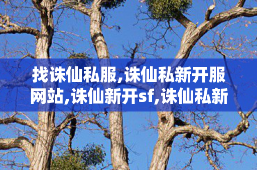 找诛仙私服,诛仙私新开服网站,诛仙新开sf,诛仙私新开服网站