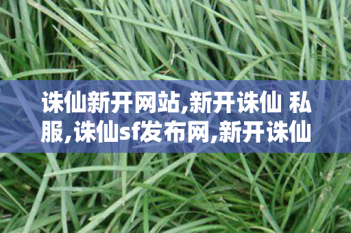 诛仙新开网站,新开诛仙 私服,诛仙sf发布网,新开诛仙 私服