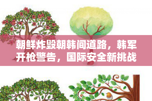 朝鲜炸毁朝韩间道路，韩军开枪警告，国际安全新挑战的深度解析