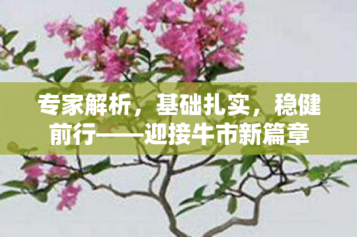 专家解析，基础扎实，稳健前行——迎接牛市新篇章