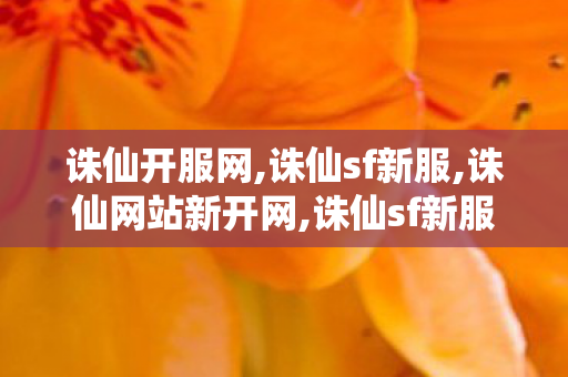 诛仙开服网,诛仙sf新服,诛仙网站新开网,诛仙sf新服