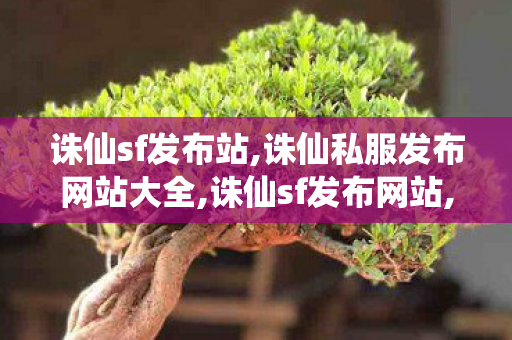 诛仙sf发布站,诛仙私服发布网站大全,诛仙sf发布网站,诛仙私服发布网站大全