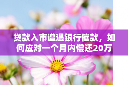 贷款入市遭遇银行催款，如何应对一个月内偿还20万贷款的挑战