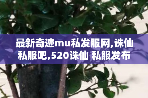 最新奇迹mu私发服网,诛仙私服吧,520诛仙 私服发布网,诛仙私服吧