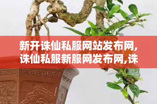 新开诛仙私服网站发布网,诛仙私服新服网发布网,诛仙开服网站,诛仙私服新服网发布网