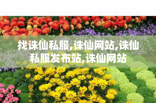 找诛仙私服,诛仙网站,诛仙私服发布站,诛仙网站