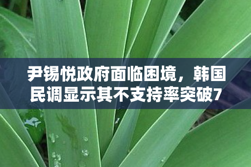 尹锡悦政府面临困境，韩国民调显示其不支持率突破70%