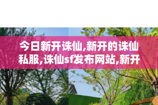 今日新开诛仙,新开的诛仙私服,诛仙sf发布网站,新开的诛仙私服