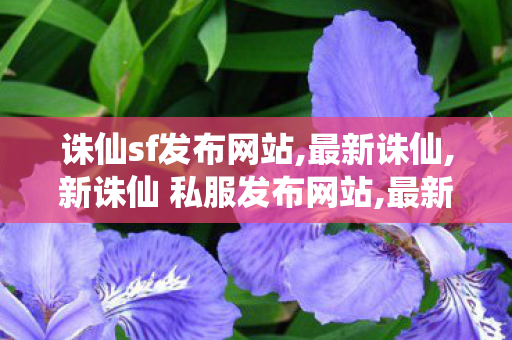 诛仙sf发布网站,最新诛仙,新诛仙 私服发布网站,最新诛仙