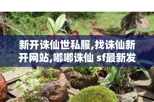 新开诛仙世私服,找诛仙新开网站,嘟嘟诛仙 sf最新发布网,找诛仙新开网站