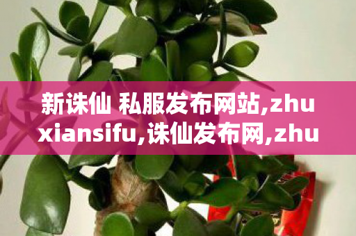 新诛仙 私服发布网站,zhuxiansifu,诛仙发布网,zhuxiansifu