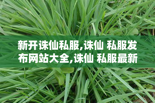 新开诛仙私服,诛仙 私服发布网站大全,诛仙 私服最新发布网站,诛仙 私服发布网站大全