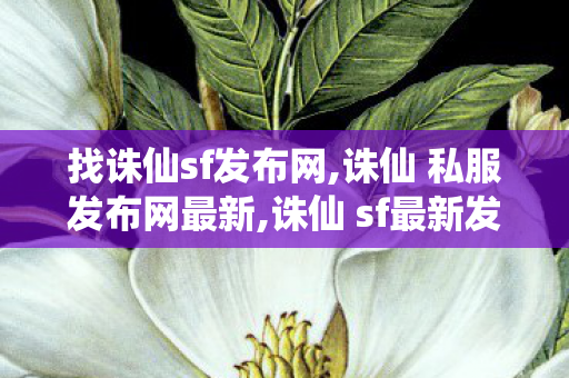 找诛仙sf发布网,诛仙 私服发布网最新,诛仙 sf最新发布网,诛仙 私服发布网最新