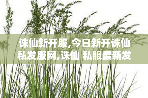 诛仙新开服,今日新开诛仙私发服网,诛仙 私服最新发布网站,今日新开诛仙私发服网
