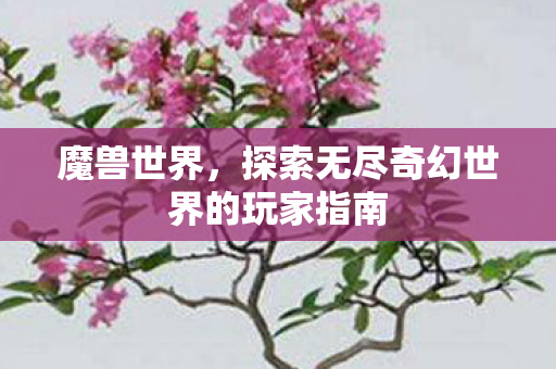 魔兽世界，探索无尽奇幻世界的玩家指南