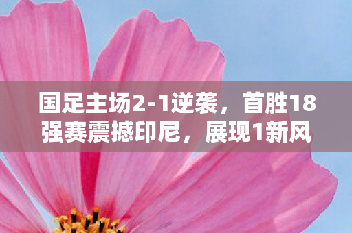 国足主场2-1逆袭，首胜18强赛震撼印尼，展现1新风采