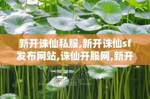 新开诛仙私服,新开诛仙sf发布网站,诛仙开服网,新开诛仙sf发布网站