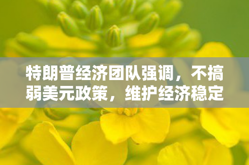 特朗普经济团队强调，不搞弱美元政策，维护经济稳定