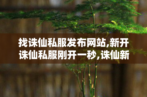 找诛仙私服发布网站,新开诛仙私服刚开一秒,诛仙新服网发布网,新开诛仙私服刚开一秒