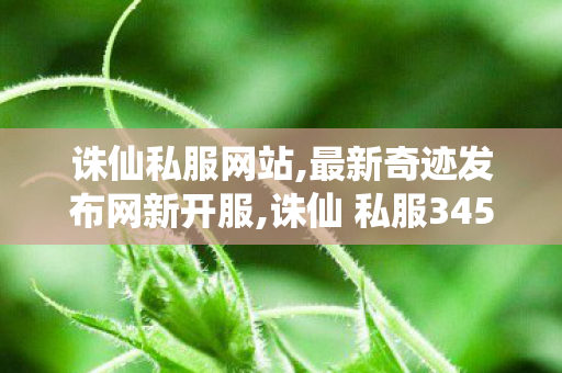 诛仙私服网站,最新奇迹发布网新开服,诛仙 私服345发布网站,最新奇迹发布网新开服