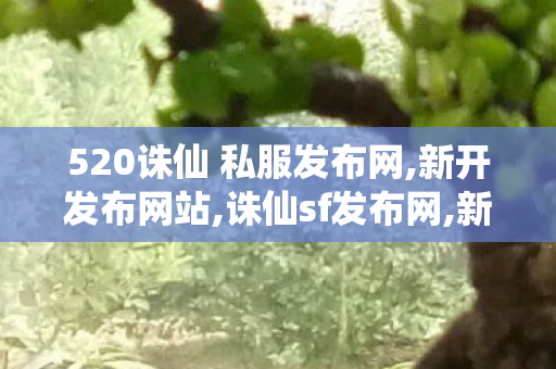 520诛仙 私服发布网,新开发布网站,诛仙sf发布网,新开发布网站