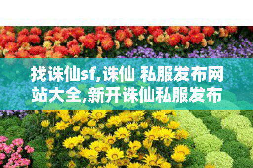 找诛仙sf,诛仙 私服发布网站大全,新开诛仙私服发布网,诛仙 私服发布网站大全