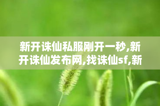 新开诛仙私服刚开一秒,新开诛仙发布网,找诛仙sf,新开诛仙发布网