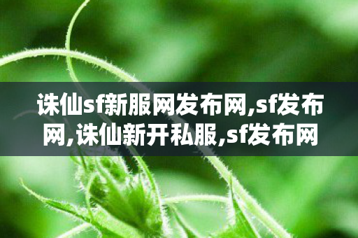 诛仙sf新服网发布网,sf发布网,诛仙新开私服,sf发布网