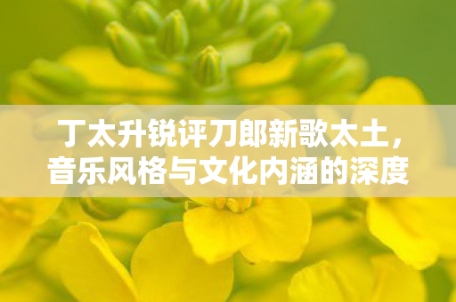丁太升锐评刀郎新歌太土，音乐风格与文化内涵的深度探讨