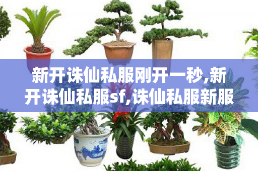 新开诛仙私服刚开一秒,新开诛仙私服sf,诛仙私服新服网发布网,新开诛仙私服sf