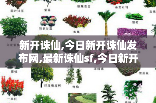 新开诛仙,今日新开诛仙发布网,最新诛仙sf,今日新开诛仙发布网