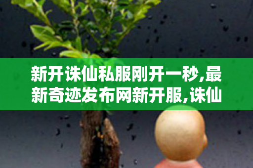 新开诛仙私服刚开一秒,最新奇迹发布网新开服,诛仙sf网,最新奇迹发布网新开服