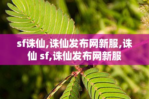 sf诛仙,诛仙发布网新服,诛仙 sf,诛仙发布网新服