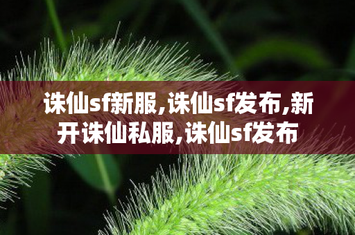 诛仙sf新服,诛仙sf发布,新开诛仙私服,诛仙sf发布