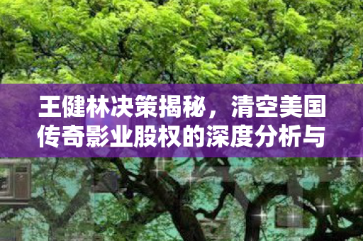 王健林决策揭秘，清空美国传奇影业股权的深度分析与影响