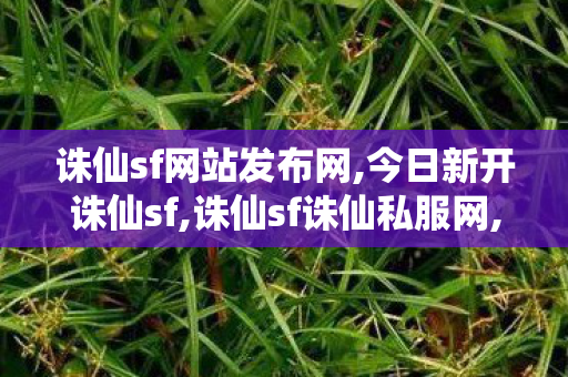 诛仙sf网站发布网,今日新开诛仙sf,诛仙sf诛仙私服网,今日新开诛仙sf