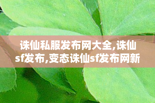 诛仙私服发布网大全,诛仙sf发布,变态诛仙sf发布网新服,诛仙sf发布