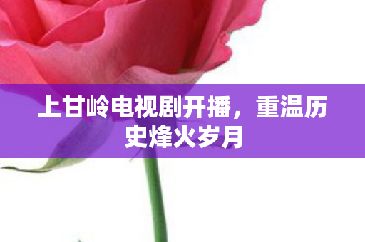 上甘岭电视剧开播，重温历史烽火岁月