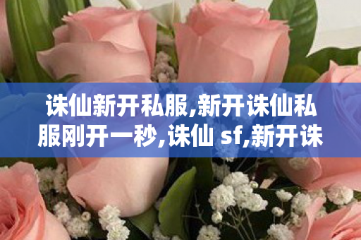 诛仙新开私服,新开诛仙私服刚开一秒,诛仙 sf,新开诛仙私服刚开一秒