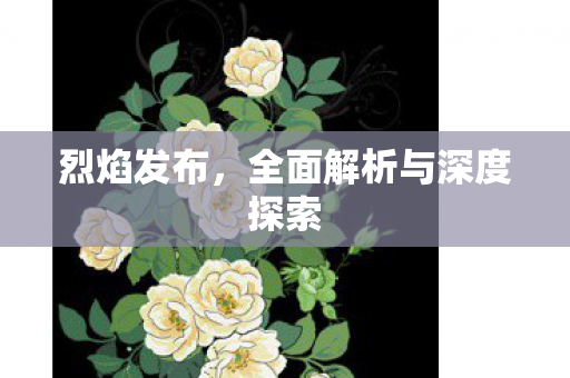 烈焰发布，全面解析与深度探索